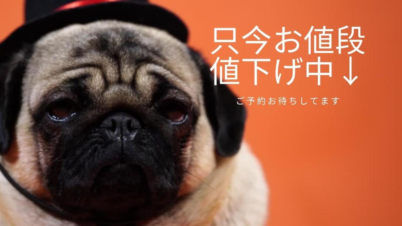 豊水すすきの駅から徒歩数分 Ik Minami 6 Jo Residence 101 Ik南6条レジデンス Sapporo Eksteriør bilde